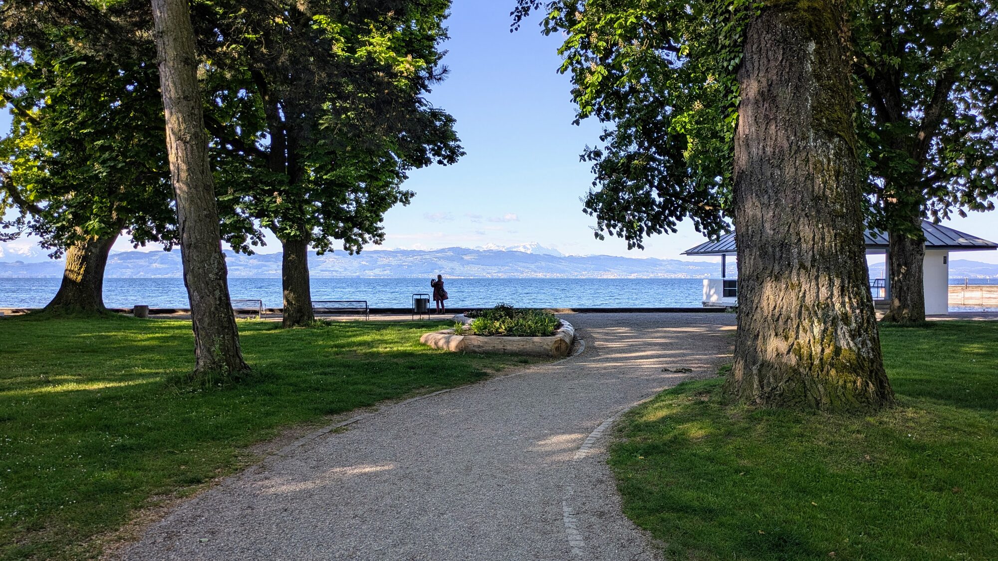 Blick über den Bodensee bei Langenargen